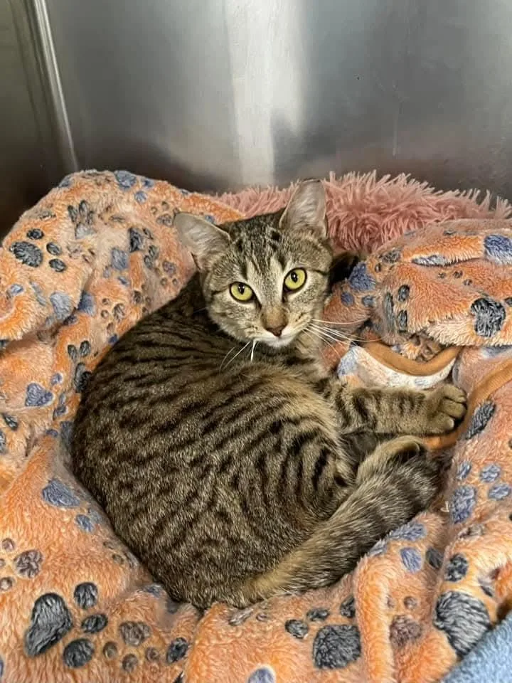 Sigourney thumbnail 5