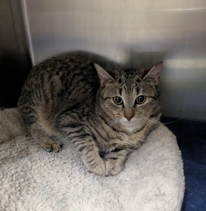 Sigourney thumbnail 6