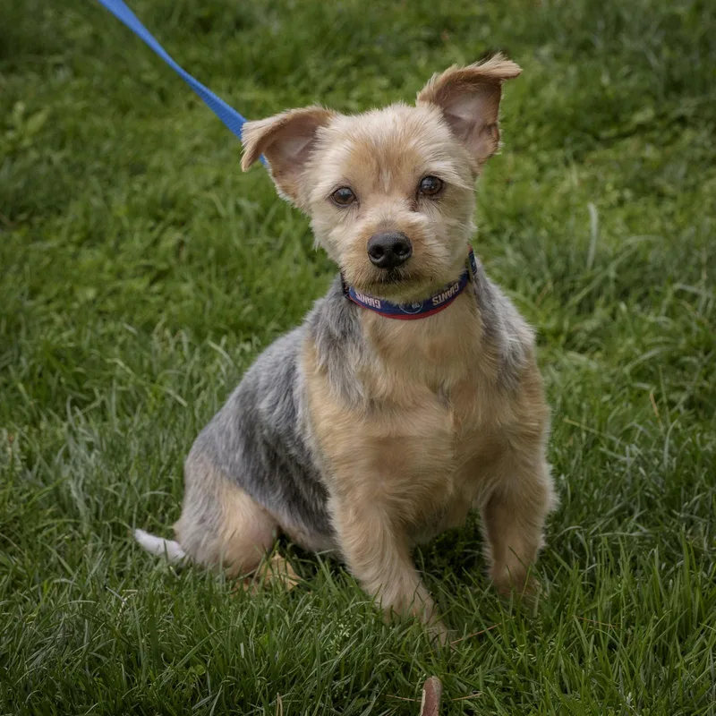 Marty & Gilda  thumbnail 2