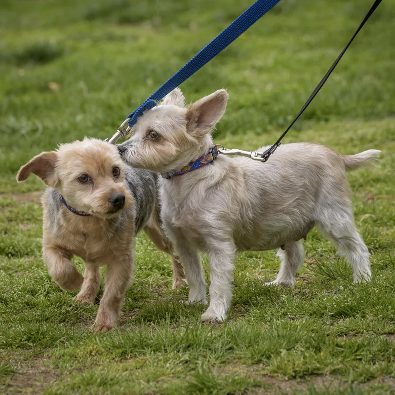 Marty & Gilda  thumbnail 3