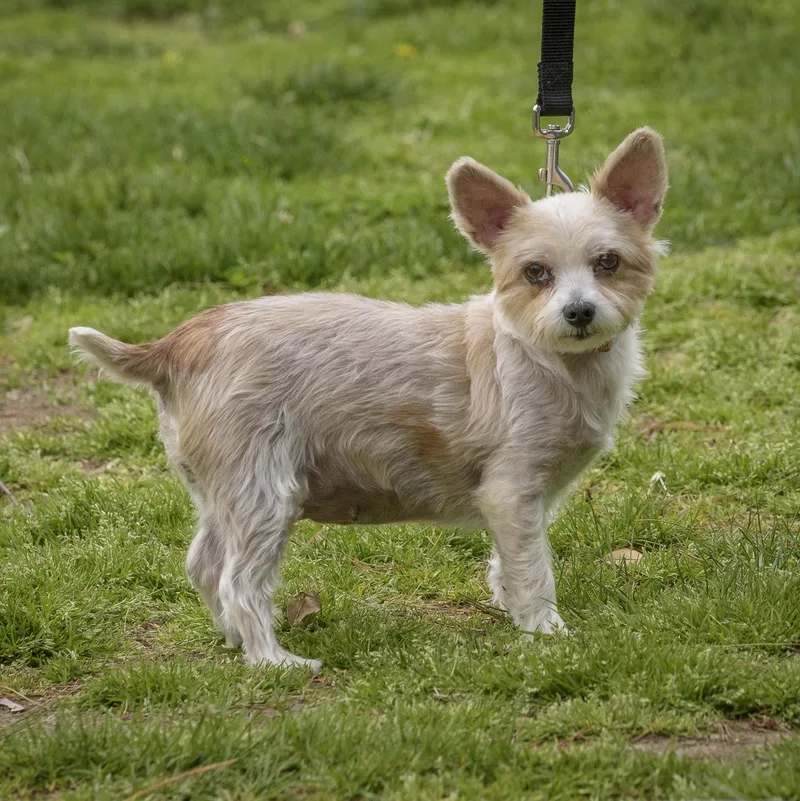 Marty & Gilda  thumbnail 4