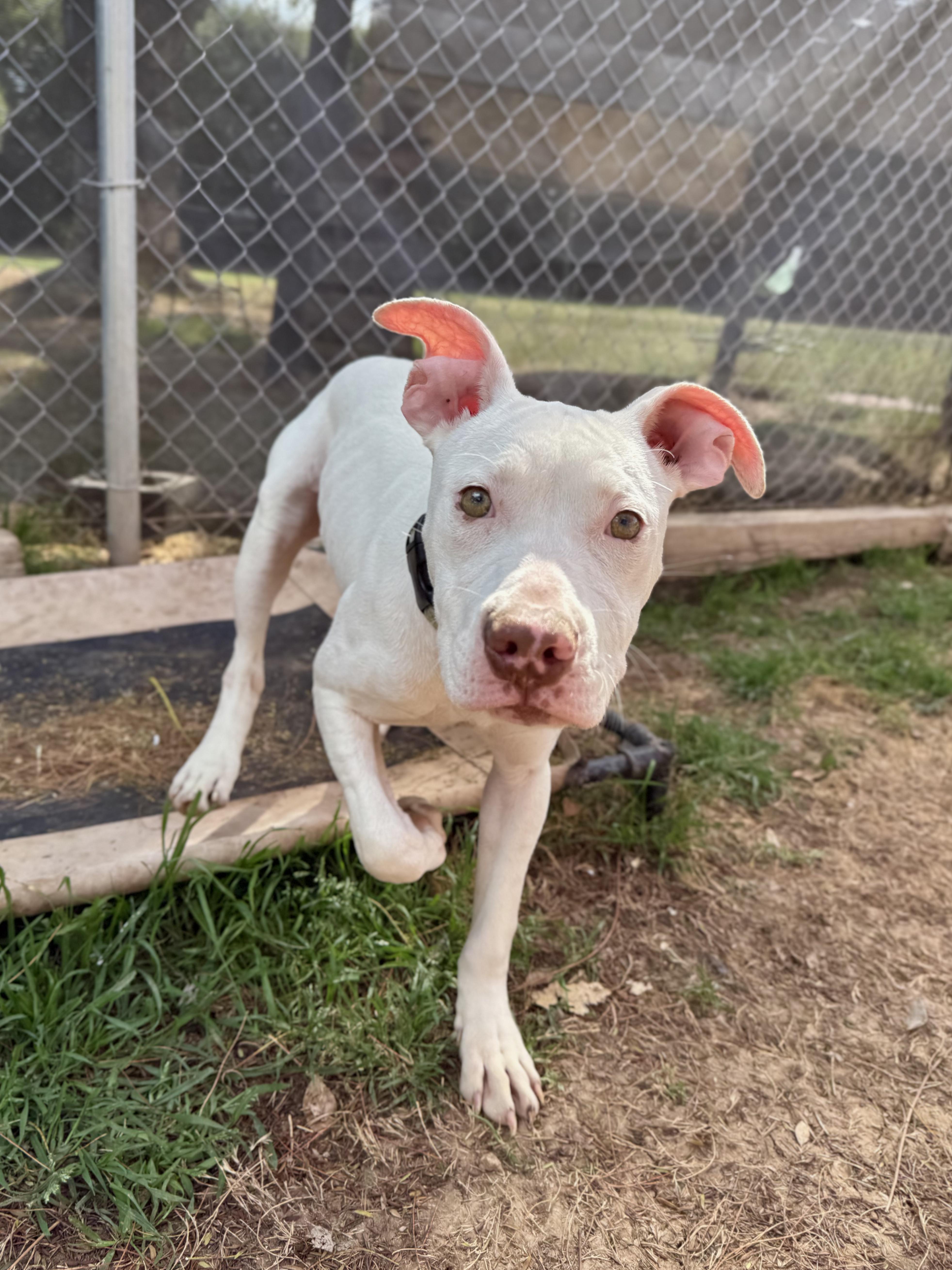 Florence thumbnail 2