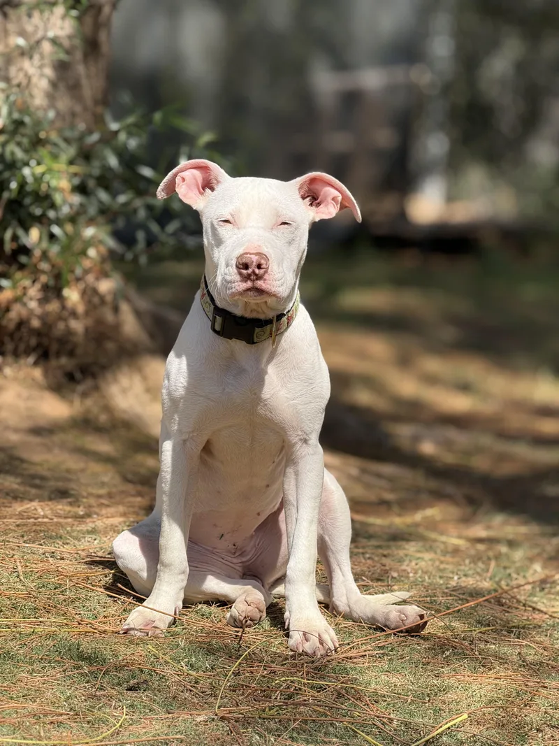 Florence thumbnail 3