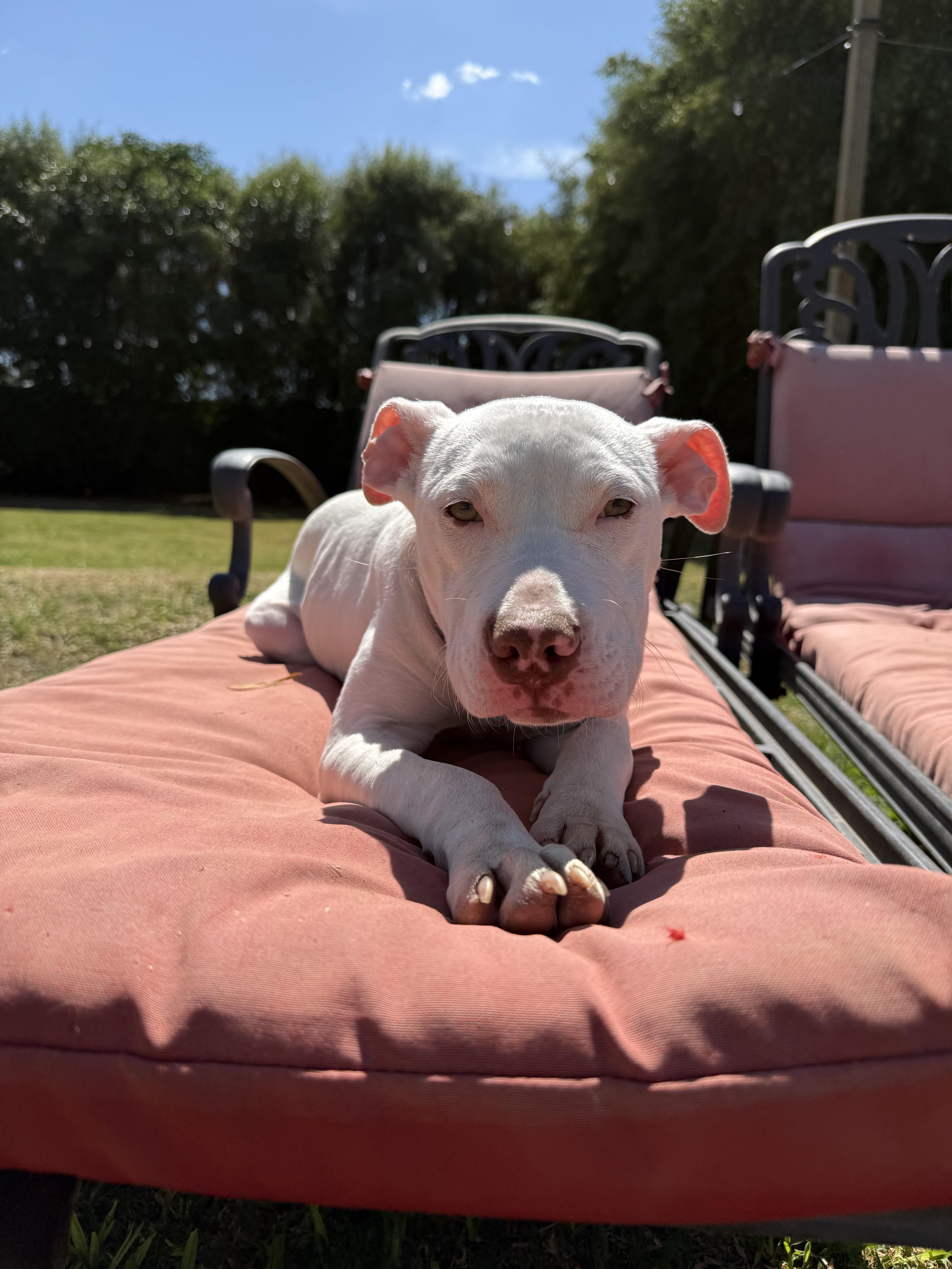 Florence thumbnail 5