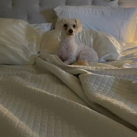 QTip thumbnail 3