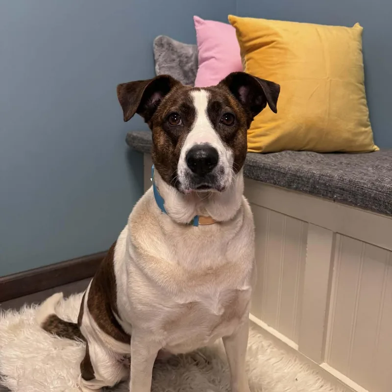 Sunshine thumbnail 5