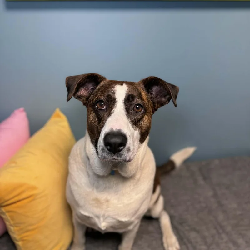 Sunshine thumbnail 6