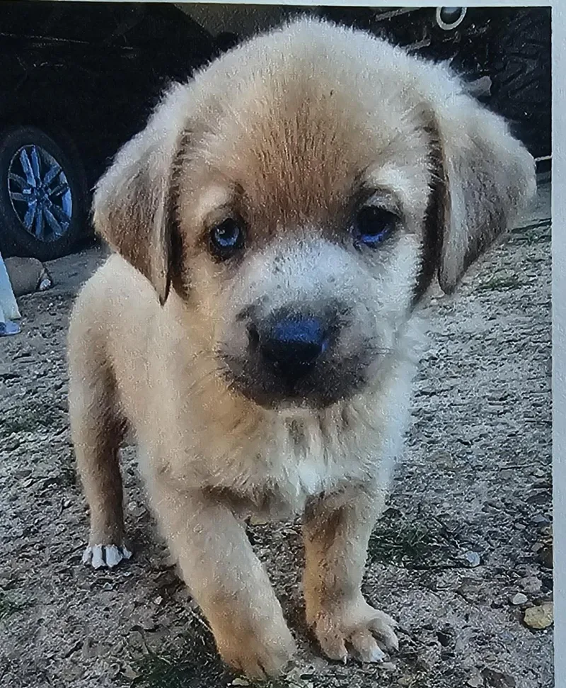 Mario Stardust thumbnail 2