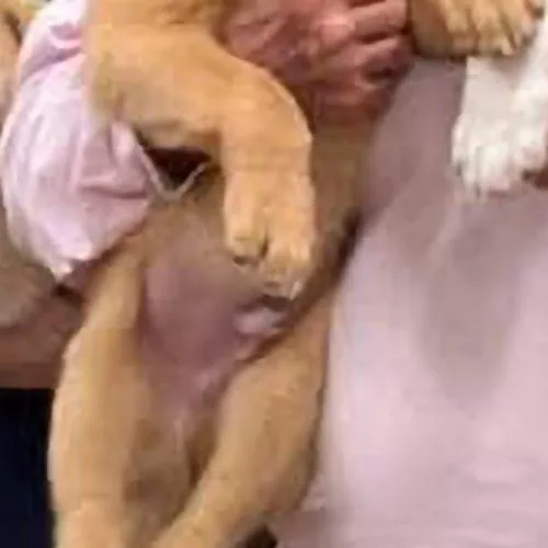 Mario Stardust thumbnail 3