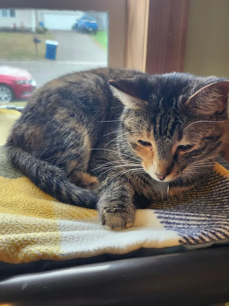 November thumbnail 2