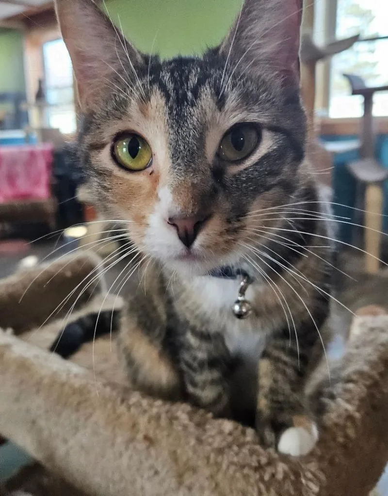 November thumbnail 3