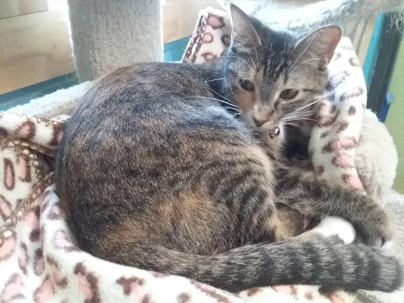 November thumbnail 4