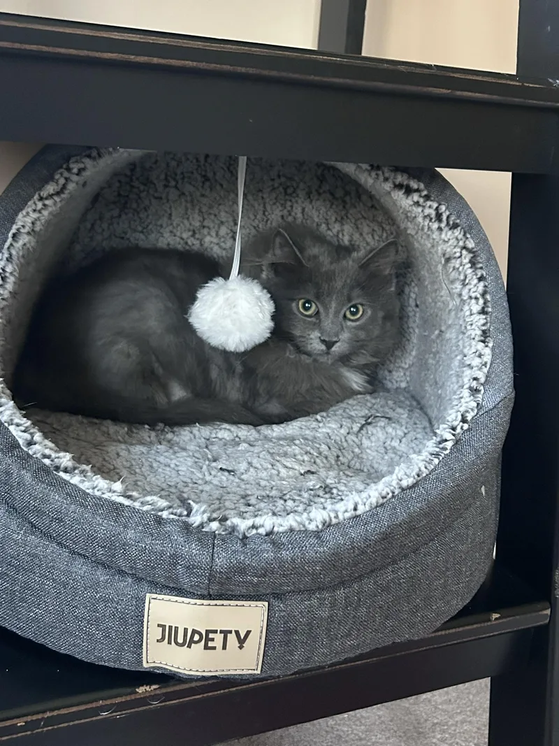 Squirt & Pepsi thumbnail 2