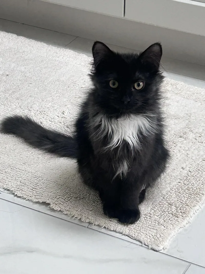 Squirt & Pepsi thumbnail 4