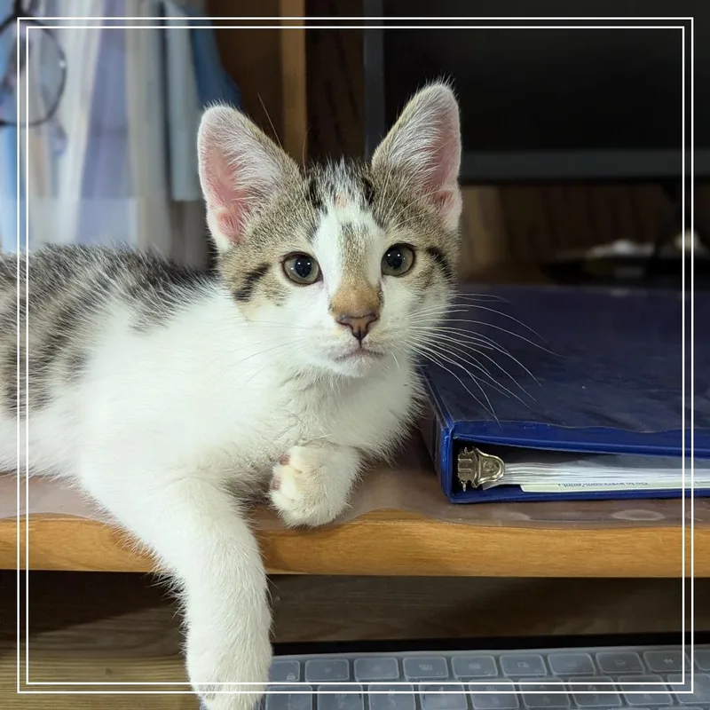 Reese thumbnail 2