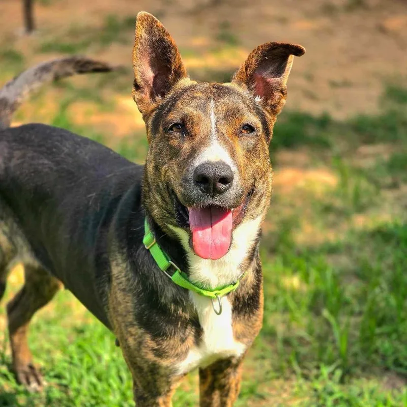 Solstice thumbnail 2