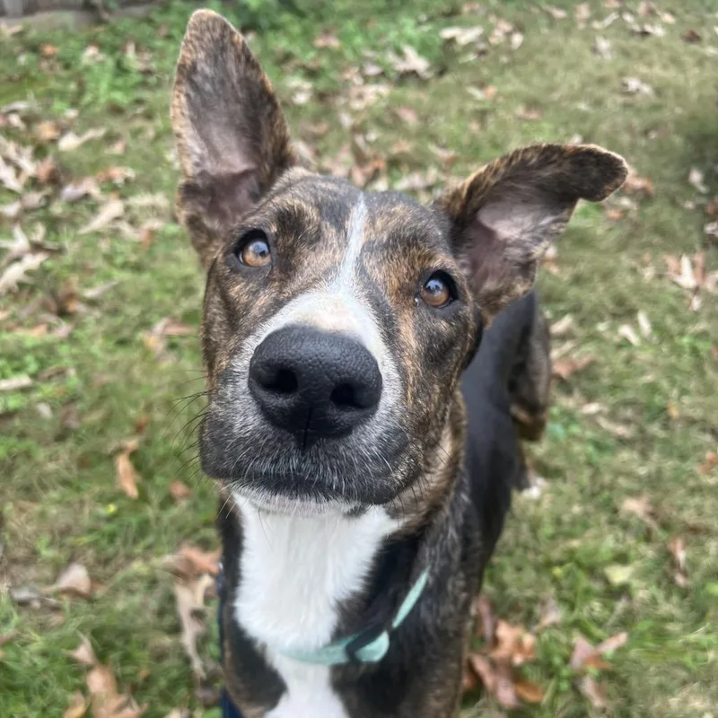 Solstice thumbnail 4