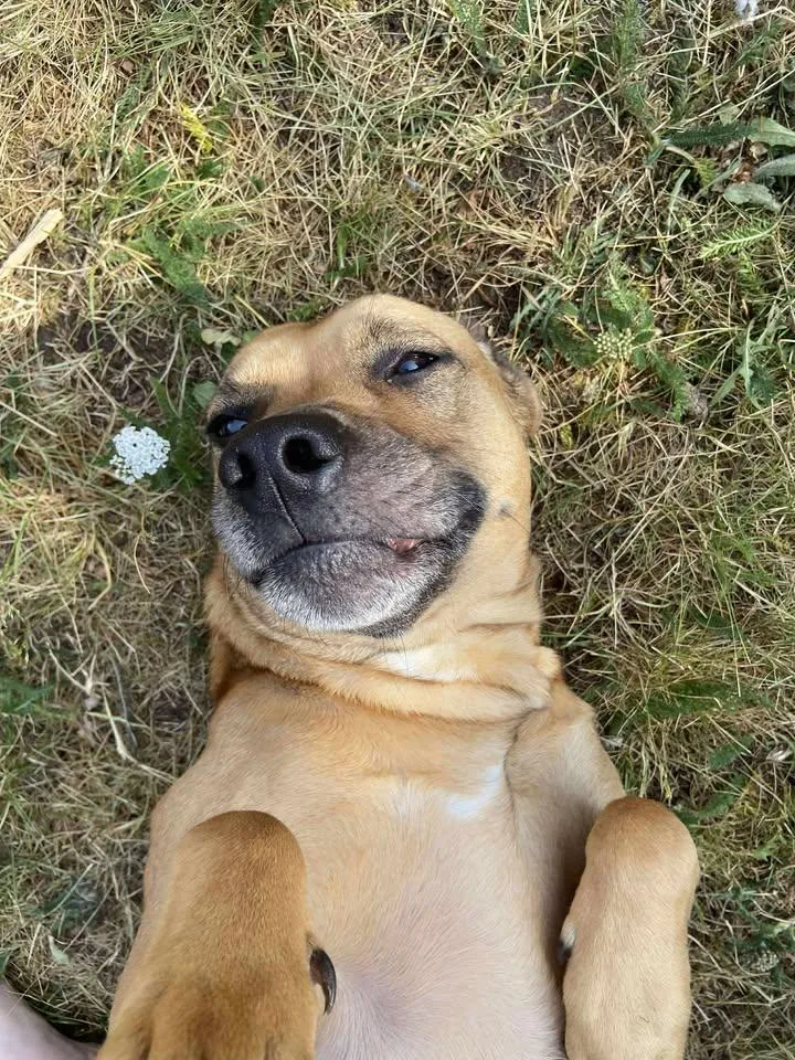 Lila Bubbles thumbnail 2