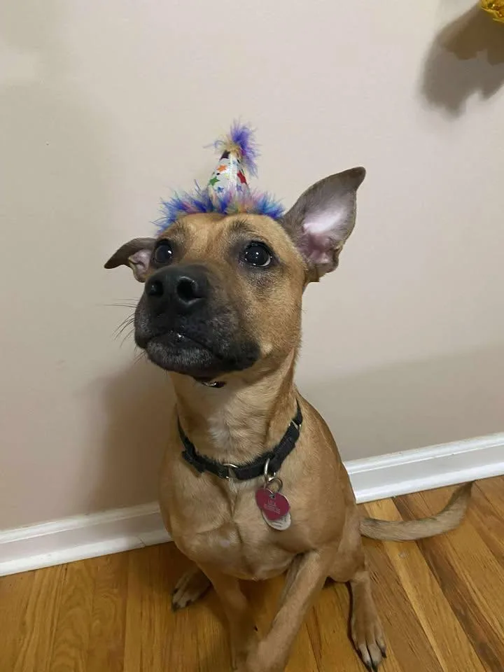 Lila Bubbles thumbnail 3