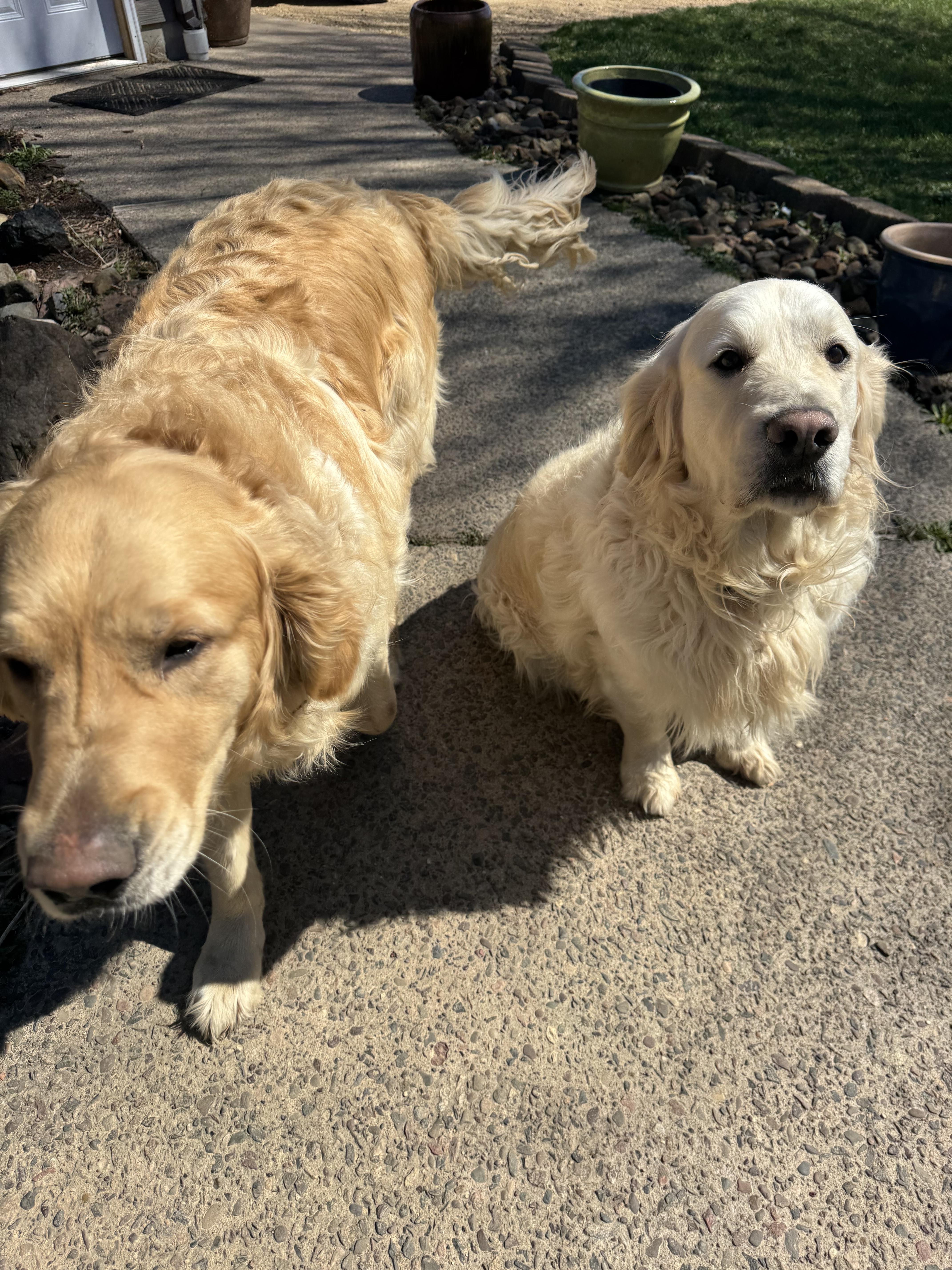 Finn And Ottis thumbnail 2