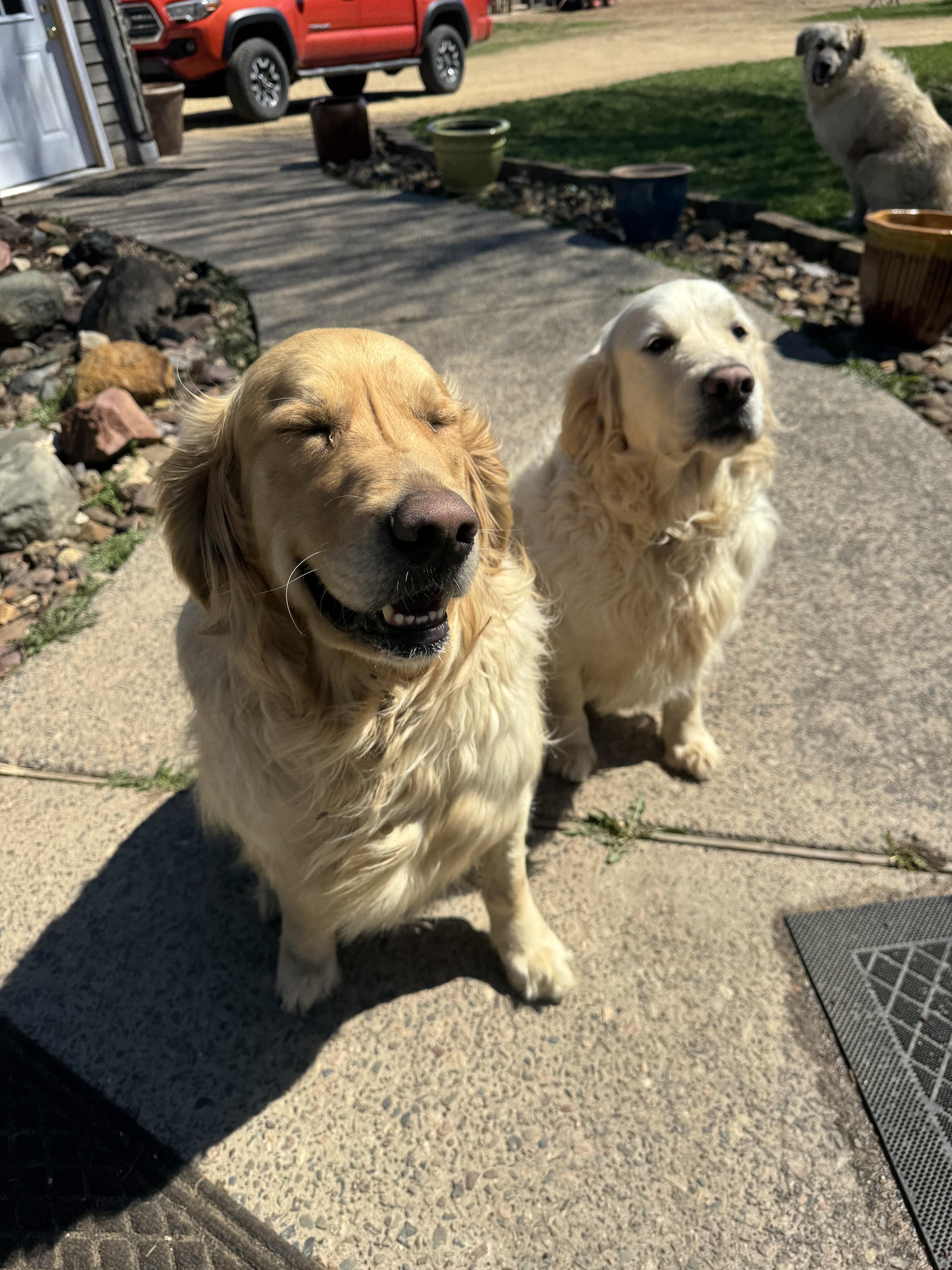 Finn And Ottis thumbnail 3