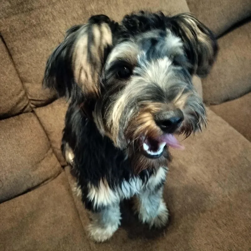 Max