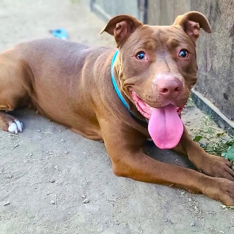 Moosiejust Wants To Connect thumbnail 2