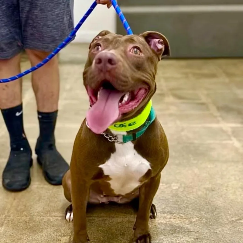 Moosiejust Wants To Connect thumbnail 3