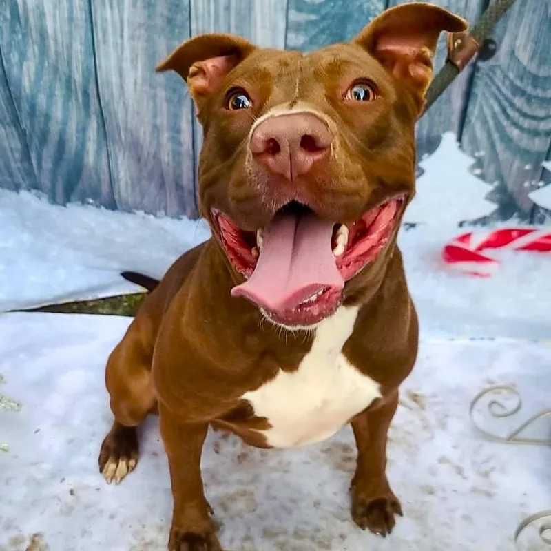 Moosiejust Wants To Connect photo 1