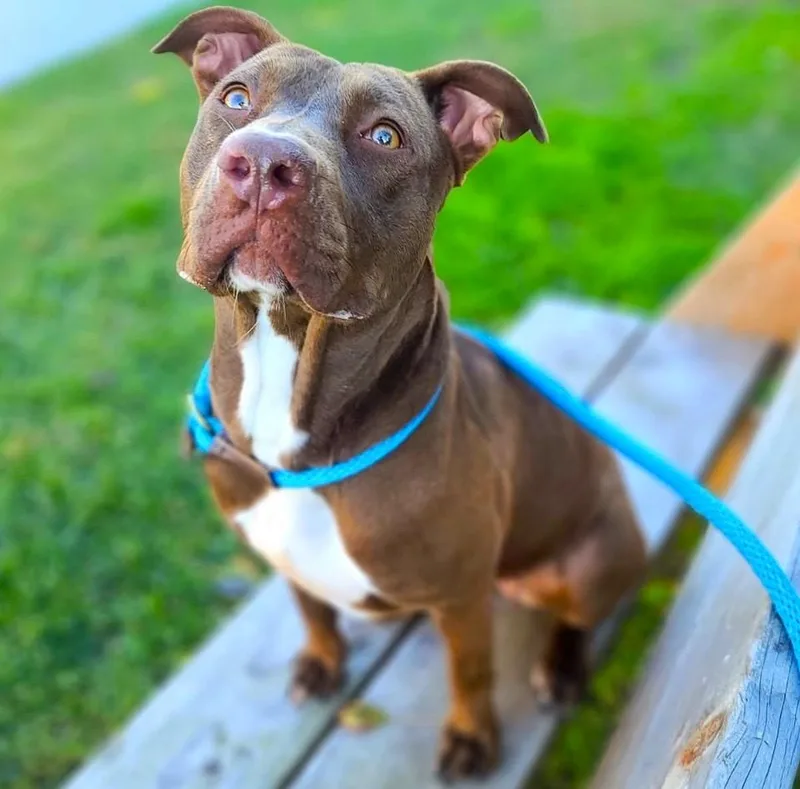 Moosiejust Wants To Connect thumbnail 4