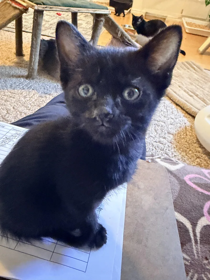 Topaz