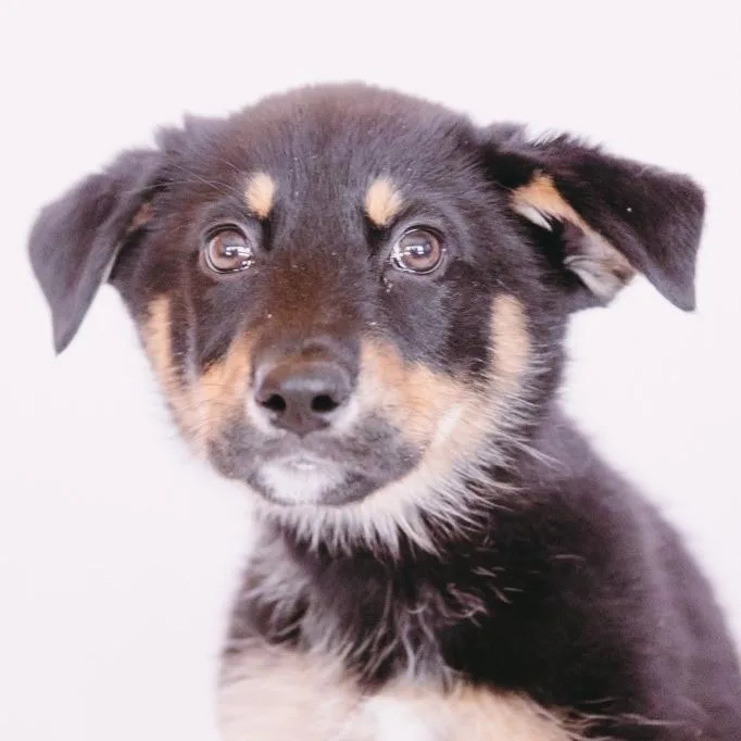 Hailey D Arriving thumbnail 2