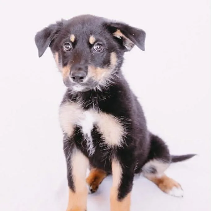 Hailey D Arriving thumbnail 3