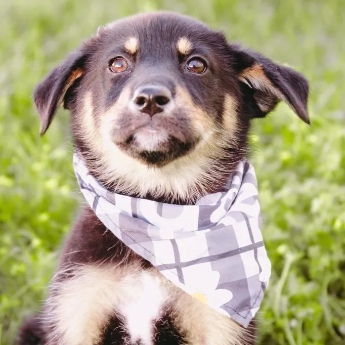 Hailey D Arriving thumbnail 5