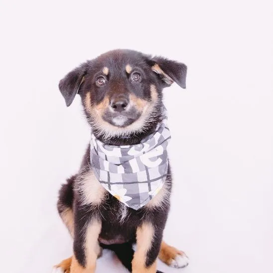 Hailey D Arriving thumbnail 6