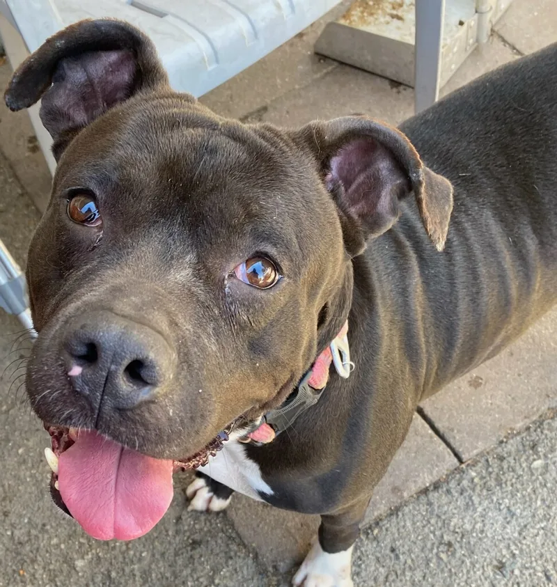 My Nana Is Your thumbnail 2