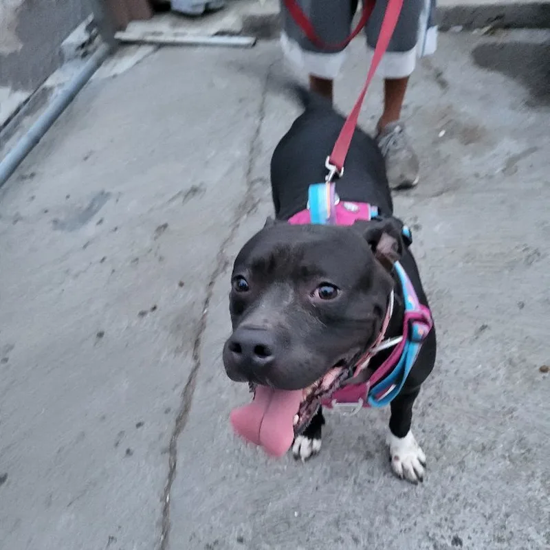 My Nana Is Your thumbnail 3