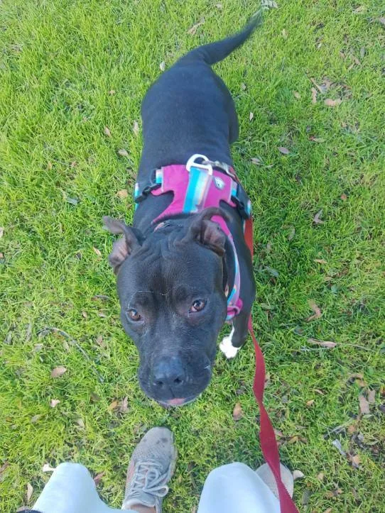 My Nana Is Your thumbnail 4