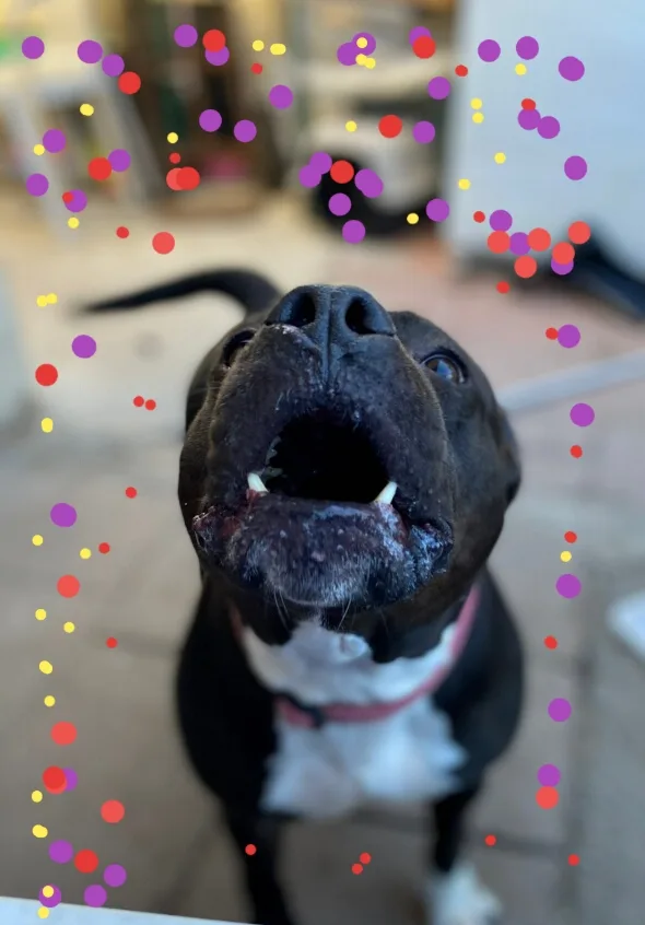 My Nana Is Your thumbnail 5