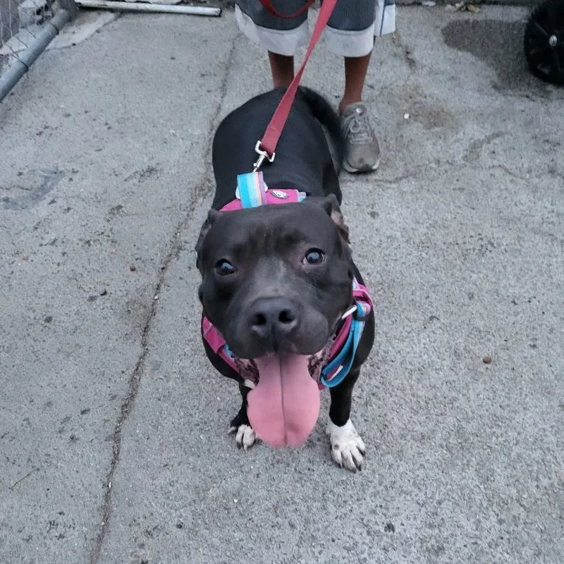 My Nana Is Your thumbnail 6