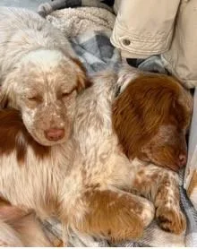 Nellie thumbnail 6