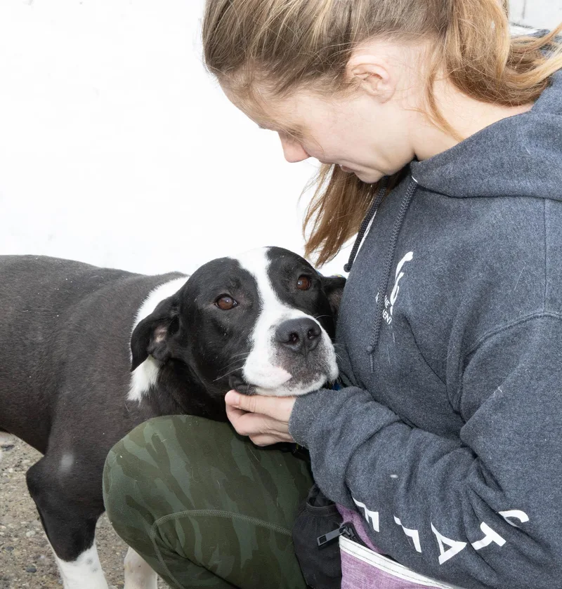 Guinness thumbnail 2