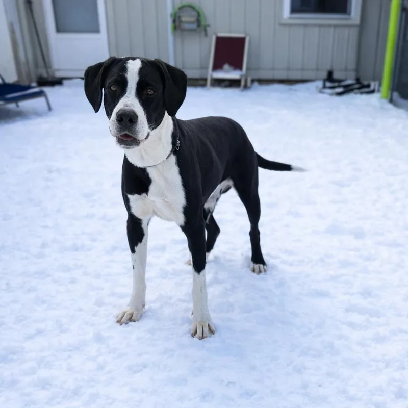 Guinness thumbnail 3