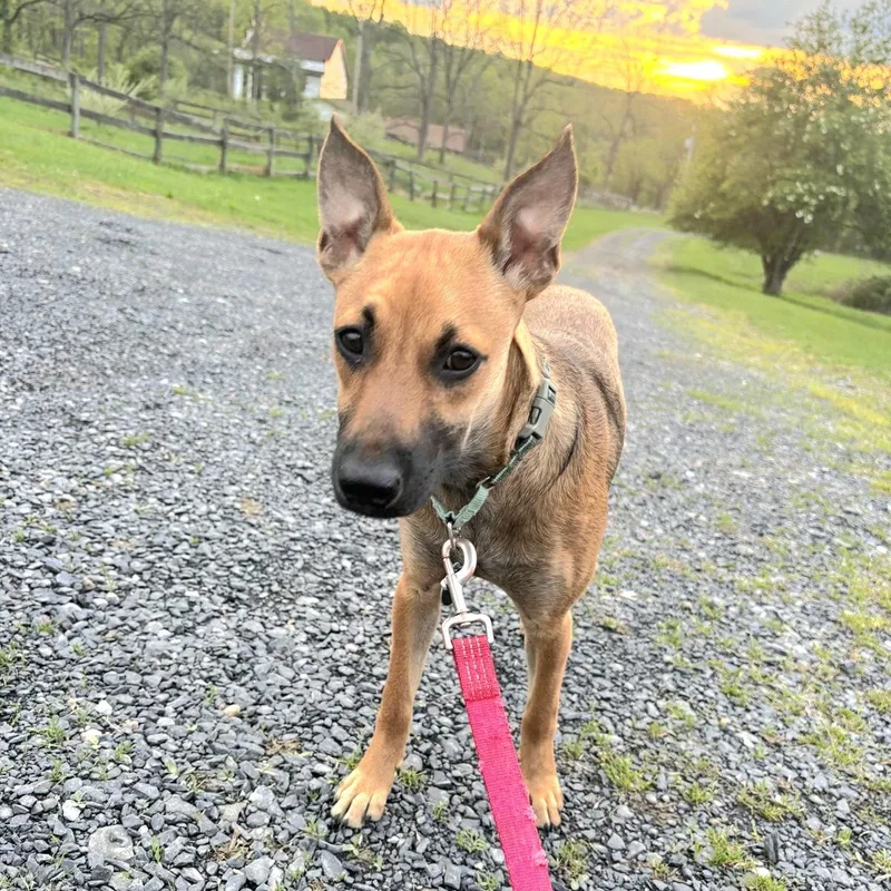 Luz In New York thumbnail 2