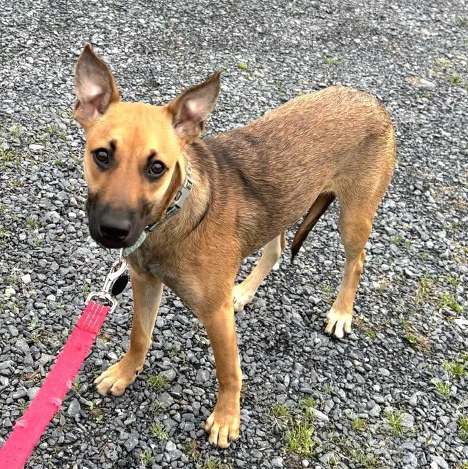 Luz In New York thumbnail 3