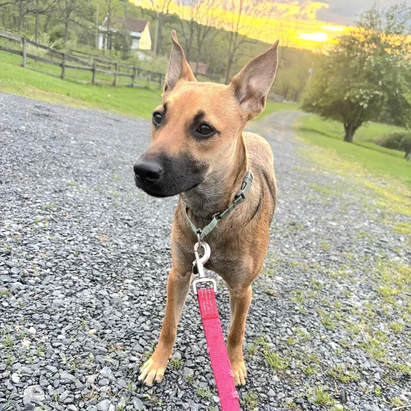 Luz In New York thumbnail 5