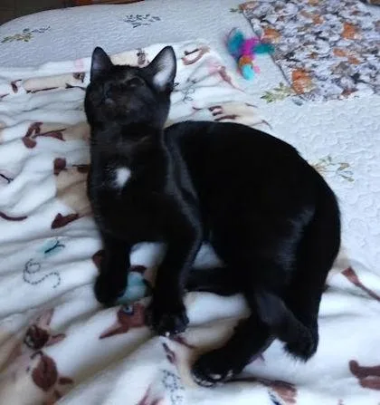 Keisha  `a Priority thumbnail 2