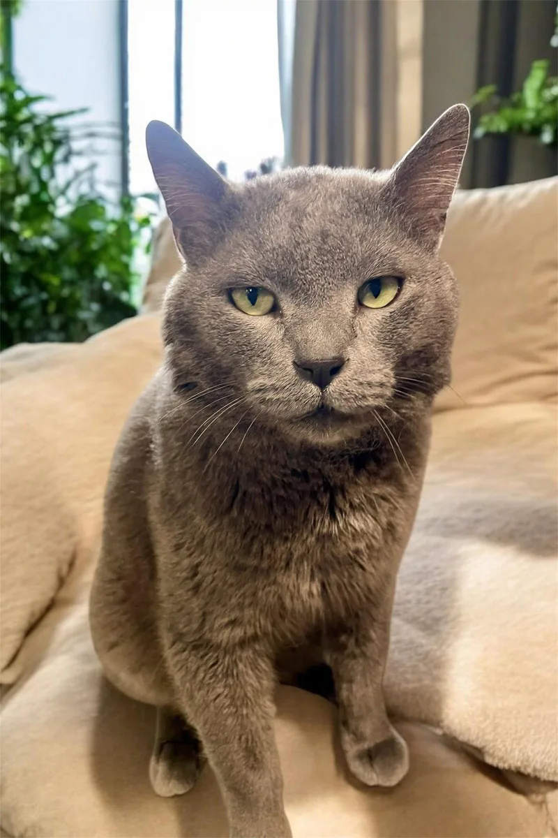 Max