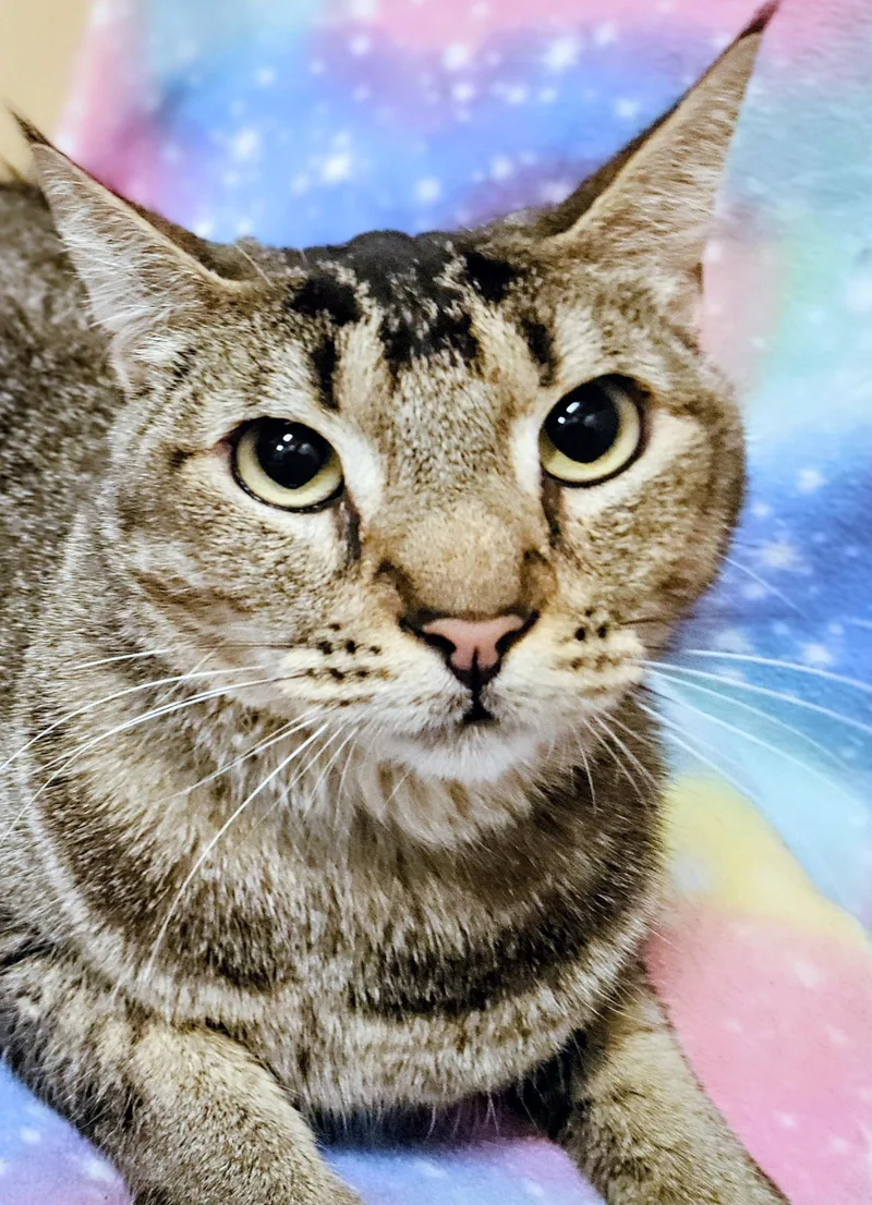 Rex  Rancho Cucamonga thumbnail 2