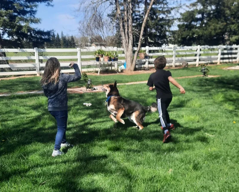 Rex E. Boy thumbnail 3